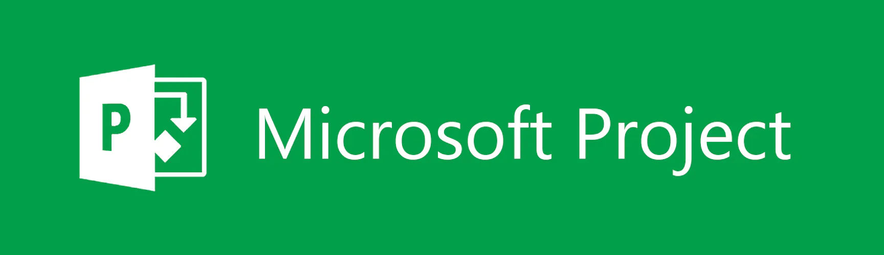 Microsoft Project 2016 Professional Project Management Software