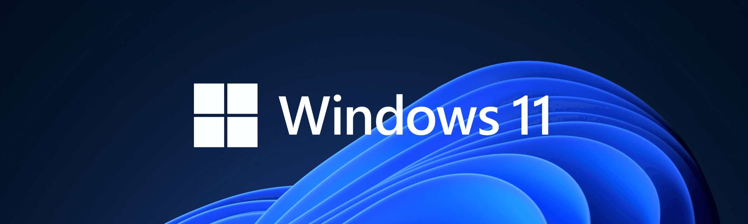 Windows 11 Professional - Permanent License for Business & Advanced Computing